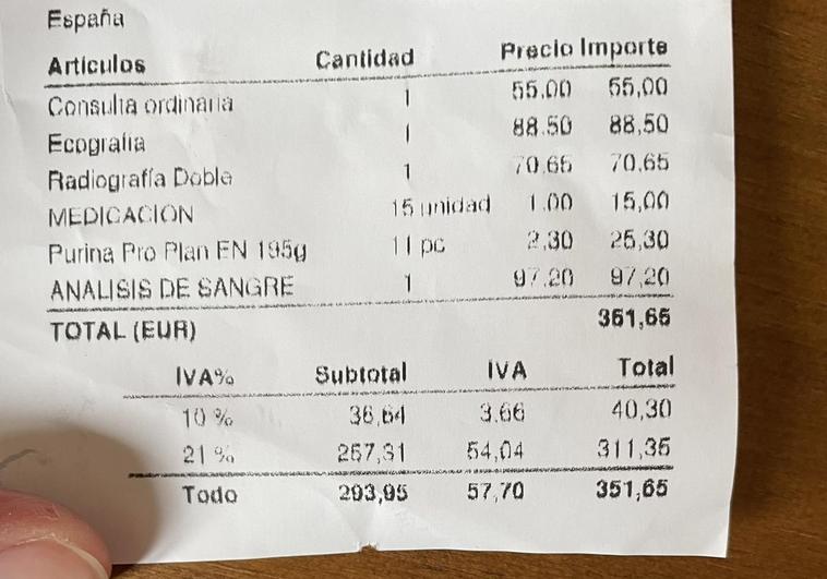 ¿Debe cubrir la Seguridad Social los gastos del veterinario? El polémico debate que surge en las redes sociales